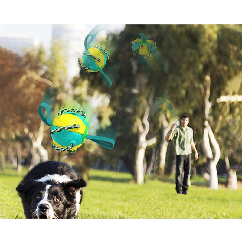 PELOTA INTERACTIVA FRISBEE PARA PERROS